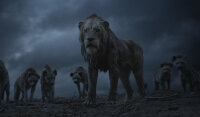 Der König der Löwen / DVD