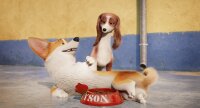Royal Corgi - Der Liebling der Queen / DVD
