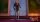 Royal Corgi - Der Liebling der Queen / DVD