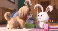 Pets 2 - DVD von Chris Renaud, Jonathan del Val / DVD