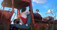 Pets 2 - DVD von Chris Renaud, Jonathan del Val / DVD
