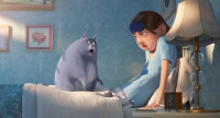 Pets 2 - DVD von Chris Renaud, Jonathan del Val / DVD
