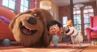 Pets 2 - DVD von Chris Renaud, Jonathan del Val / DVD