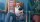 Pets 2 - DVD von Chris Renaud, Jonathan del Val / DVD
