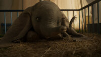 Dumbo - Walt Disney - (Colin Farrell + Danny DeVito) (Live-Action) DVD - Top Zustand