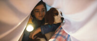 Bailey - Ein Hund kehrt zurück / DVD - Top Zustand