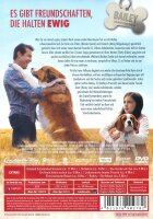 Bailey - Ein Hund kehrt zurück / DVD - Top Zustand