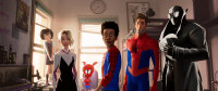 Spider-Man - A New Universe / DVD - Top Zustand