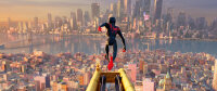 Spider-Man - A New Universe / DVD - Top Zustand