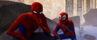 Spider-Man - A New Universe / DVD - Top Zustand