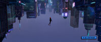 Spider-Man - A New Universe / DVD - Top Zustand