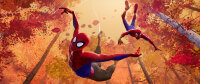 Spider-Man - A New Universe / DVD - Top Zustand