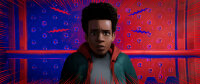 Spider-Man - A New Universe / DVD - Top Zustand