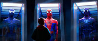 Spider-Man - A New Universe / DVD - Top Zustand