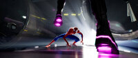 Spider-Man - A New Universe / DVD - Top Zustand