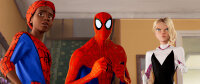 Spider-Man - A New Universe / DVD - Top Zustand
