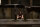 Jigsaw - SAW 8 / Uncut FSK18 / Blu-Ray *Top Zustand