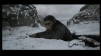 Planet der Affen: Survival / Blu-Ray * Top Zustand