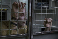 Logan - The Wolverine / DVD - Top Zustand