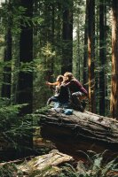 Swiss Army Man / DVD *Top Zustand