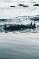 Swiss Army Man / DVD *Top Zustand