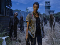 The Walking Dead - Die komplette sechste Staffel - Uncut  [6 DVDs] - Akzeptabel mit Kratzer