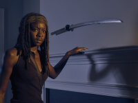The Walking Dead - Die komplette sechste Staffel - Uncut  [6 DVDs] - Akzeptabel mit Kratzer