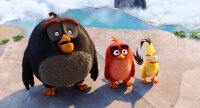 Angry Birds - Der Film / DVD *Top Zustand