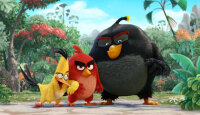 Angry Birds - Der Film / DVD *Top Zustand