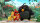 Angry Birds - Der Film / DVD *Top Zustand