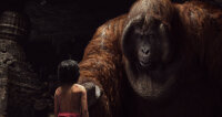 The Jungle Book / Blu-Ray - Top Zustand