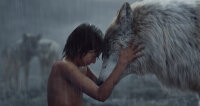 The Jungle Book / Blu-Ray - Top Zustand