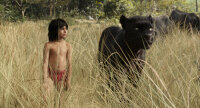 The Jungle Book / Blu-Ray - Top Zustand