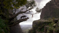 The Jungle Book / Blu-Ray - Top Zustand