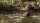 The Jungle Book / Blu-Ray - Top Zustand