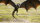 Game of Thrones - Staffel 4  [5 DVDs] Guter Zustand