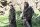 Game of Thrones - Staffel 4  [5 DVDs] Guter Zustand
