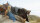 Game of Thrones - Staffel 4  [5 DVDs] Guter Zustand