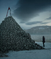 The Revenant - Der Rückkehrer / DVD