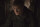 Die Tribute von Panem - Mockingjay 2 - Fan Edition / Blu-Ray * Top Zustand