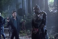 The 100 - Die komplette 2. Staffel  [4 DVDs]