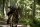 The 100 - Die komplette 2. Staffel  [4 DVDs] Top Zustand