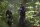 The 100 - Die komplette 2. Staffel  [4 DVDs] Top Zustand