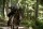 The 100 - Die komplette 2. Staffel  [4 DVDs]