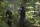 The 100 - Die komplette 2. Staffel  [4 DVDs]