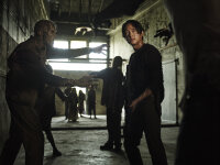 The Walking Dead - Die komplette fünfte Staffel - Uncut  ( 5 DVDs )