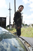 The Walking Dead - Die komplette fünfte Staffel - Uncut  ( 5 DVDs )