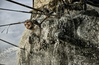 Mad Max: Fury Road  (inkl. Digital Ultraviolet) Blu-ray *Top Zustand