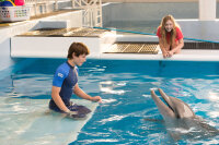 Mein Freund, der Delfin 2 / DVD