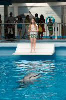 Mein Freund, der Delfin 2 / DVD